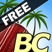 Beach Cricket 2.5.5 Apk