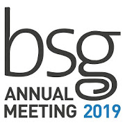 BSG 2019 1.2 Apk