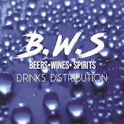 BWS 1.0 Apk