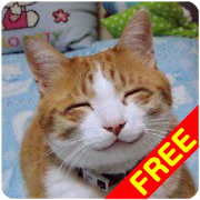 Cat Sounds for Cat 10 Apk