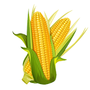 CropWISE 0.3.3 Apk