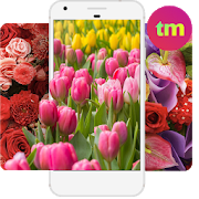 Flower Wallpaper HD Free 2.02 Apk