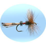 Fly Fishing Simulator 1.048 Apk