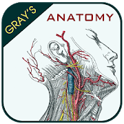 Gray's Anatomy - Anatomy Atlas 2020 4.5 Apk