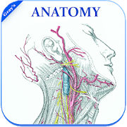 Gray's Anatomy - Atlas || Offline || Free 1.16 Apk