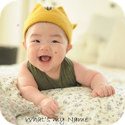 Hindu Baby Names With Meanings 1.14 Apk