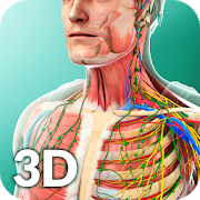 Human Anatomy 1.9 Apk