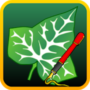 Ivy Draw: Vector Drawing 1.34 (2) Apk