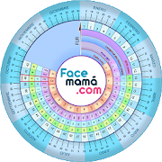 Pregnancy Weeks Calculator by Facemama 1.1.10.4 Apk