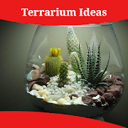 Terrarium Ideas 1.0 Apk