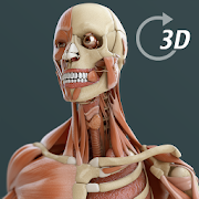 Visual Anatomy 3D | Human 1.2 Apk