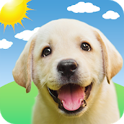 Weather Puppy: Real Time Weather Forecast & Radar Apk