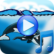 Whales songs to sleep 1.2 Apk