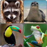 Download Animals Memory Game 2.0 APK For Android Apk