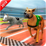 Download Crazy Wild Dog Racing Fever Sim 3D - Dog Race 2019 1.3 APK For Android Apk