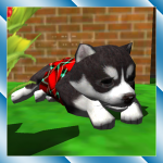 Download Cute Pocket Puppy 3D 1.2.2.3 APK For Android Apk