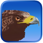 Download Eagle Hunting Journey 1.1111111 APK For Android Apk