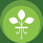 Download Groots 1.1.3 APK For Android Apk