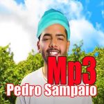 Download Pedro sampaio Santadao album 2020 1.0 APK For Android