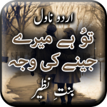 Download Tu Hai Mere Jeny Ki Waja Novel by Bint e Nazir 1.15 APK For Android