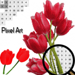 Download Tulip Flowers Color By Number-Pixel Art New 2020 4.0 APK For Android Apk