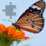 Download Butterflies Jigsaw Puzzle 1.1 APK For Android Apk