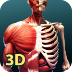 Download Human Anatomy 3D 1.03 APK For Android Apk