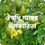 Download ঔষধি গাছের উপকারিতা - Medicinal Plant & রোগ নিরাময় 1.0.14 APK For Android Apk