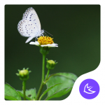 Download Mood-APUS Launcher theme 566.0.1001 APK For Android Apk