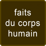 Download faits Corps Humain 0.0.7 APK For Android Apk