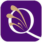 Download QuiAri 1.76 APK For Android Apk