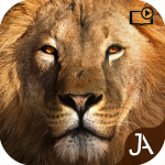 Download Safari: Online Evolution 20.7.4 APK For Android Apk