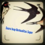 Download Suara Inap Walet Berkualitas - Suara Walet 1.0.1 APK For Android