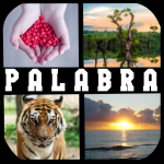 Download 4 Fotos 1 Palabra 2020 8.3.1z APK For Android Apk