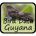 Download Bird Data - Guyana Bird Data - Guyana 1082 APK For Android Apk