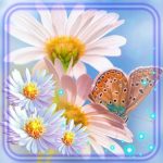 Download Camomiles Flowers Live Wallpaper 1.3 APK For Android Apk