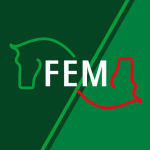 Download FEM 1.0.6 APK For Android Apk