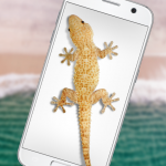 Download Lizard in phone funny joke - iLizard 1.0 APK For Android Apk