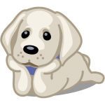 Download Pets Adoption: Adopt Dog, Cat or Post for Adoption 1.47 APK For Android Apk