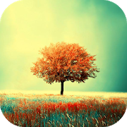 Download Awesome-Land Live wallpaper HD : Grow more trees 3.6.4 Apk for android Apk