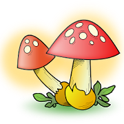 Download Mushrooms 80.80.20 Apk for android