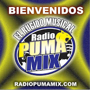 Download RADIO PUMAMIX 9.8 Apk for android Apk