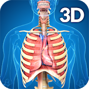 Download Respiratory System Anatomy 1.9 Apk for android