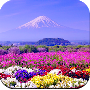 Download Beautiful Spring Wallpaper 4K 1.1 Apk for android Apk