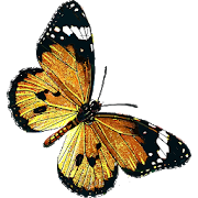 Download Butterflies 80.80.20 Apk for android