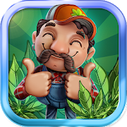 Download CannaFarm - Weed Farming Collection Game 1.9.820 Apk for android