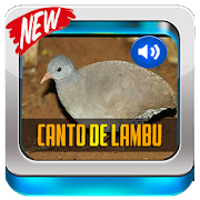 Download Canto De Lambu Completo 2020 6.2.3 Apk for android Apk