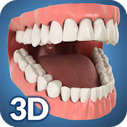 Download Dental Anatomy Pro. 2.1 Apk for android