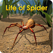 Download Life of Spider 1.2 Apk for android