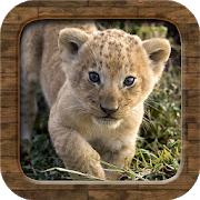 Download Animal Sounds  Apk for android